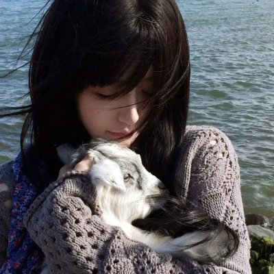 温软玫瑰沦为他心尖偏宠